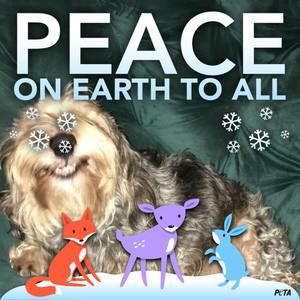 Meet your Posher, Josie